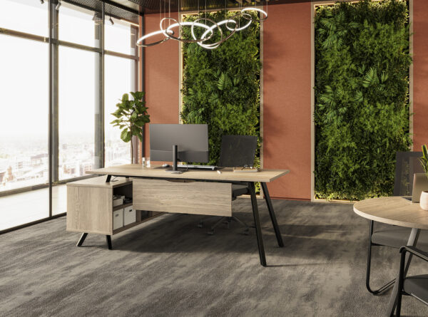 Acme Exec Desk - Image 2