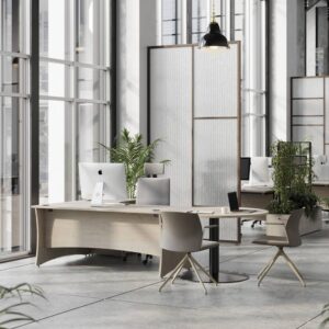 Roma Executive