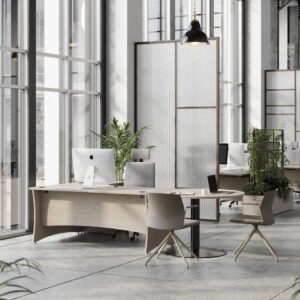 Roma Executive